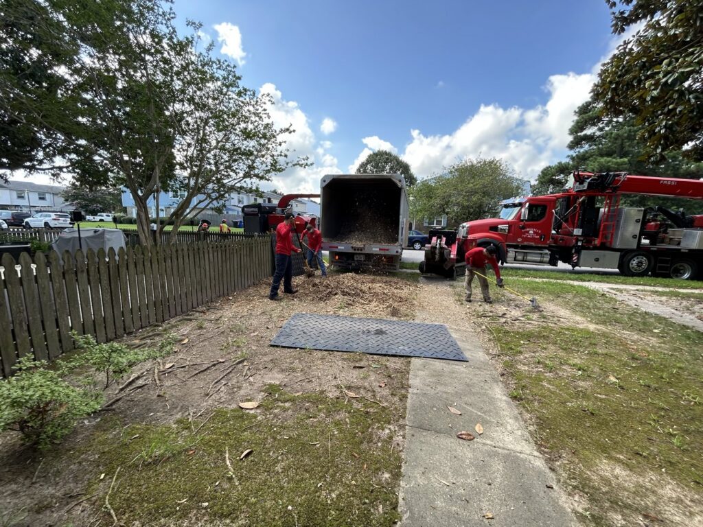 Tree service workers feeding branches into a wood chipper on a job site for Marshall's Tree Service in Virginia Beach, VA