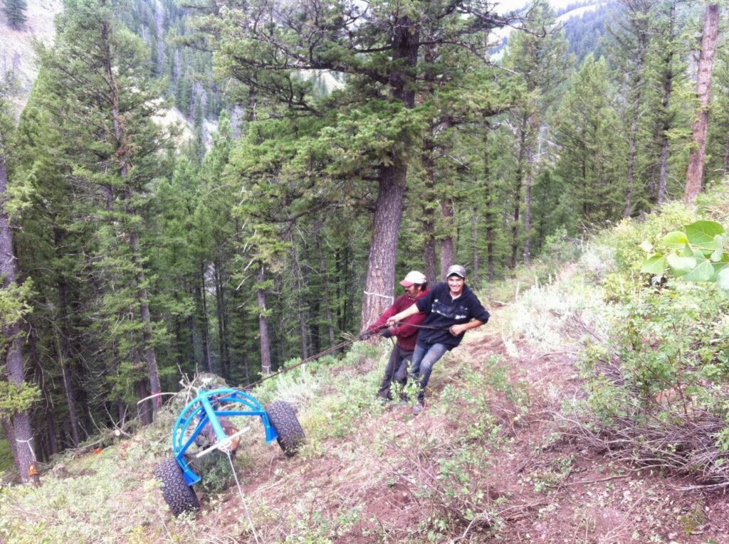 Workers hauling equipment up a steep forested hill, indicating tree clearing work by Trees Inc - Wyoming in Jackson, WY