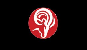 Workers installing hydraulic foundation jacks in a trench next to a brick wall for Ram Jack Foundation Solutions in Hampton, VA.