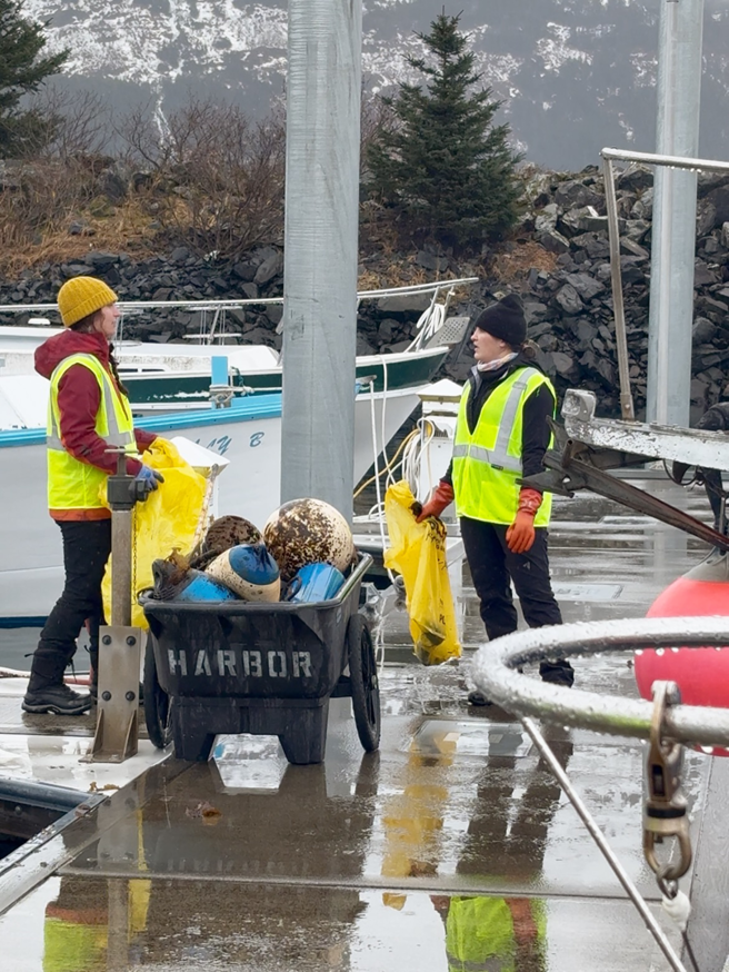 Workers in high-visibility vests loading harbor debris and buoys into a cart, part of a cleanup by Alaska Waste in Anchorage, AK.