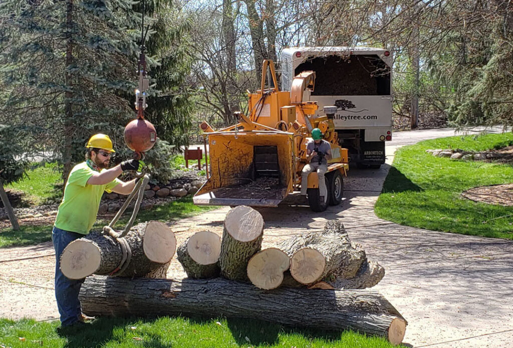 Tree service workers loading cut logs into a wood chipper with crane assistance, provided by Arbor Solutions Tree Service in Ann Arbor, MI.