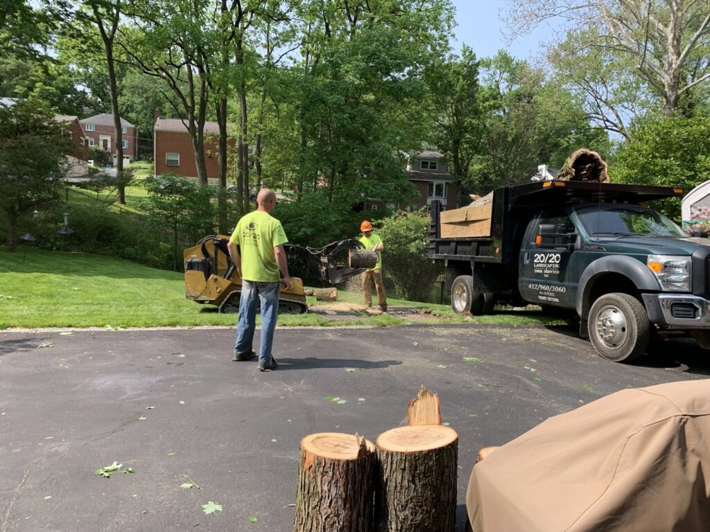 Workers loading tree debris into a dump truck with a skid steer for 20/20 Landscaping and Tree Service in Pittsburgh, PA.