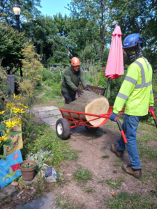 Two workers in safety gear moving a large tree log with a cart at Riverview Community Garden in Jersey City, NJ.