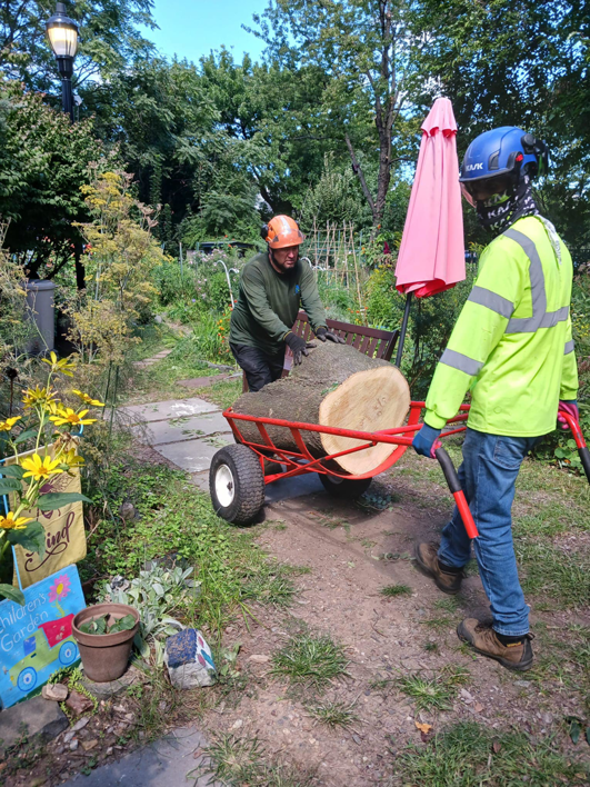Two workers in safety gear moving a large tree log with a cart at Riverview Community Garden in Jersey City, NJ.