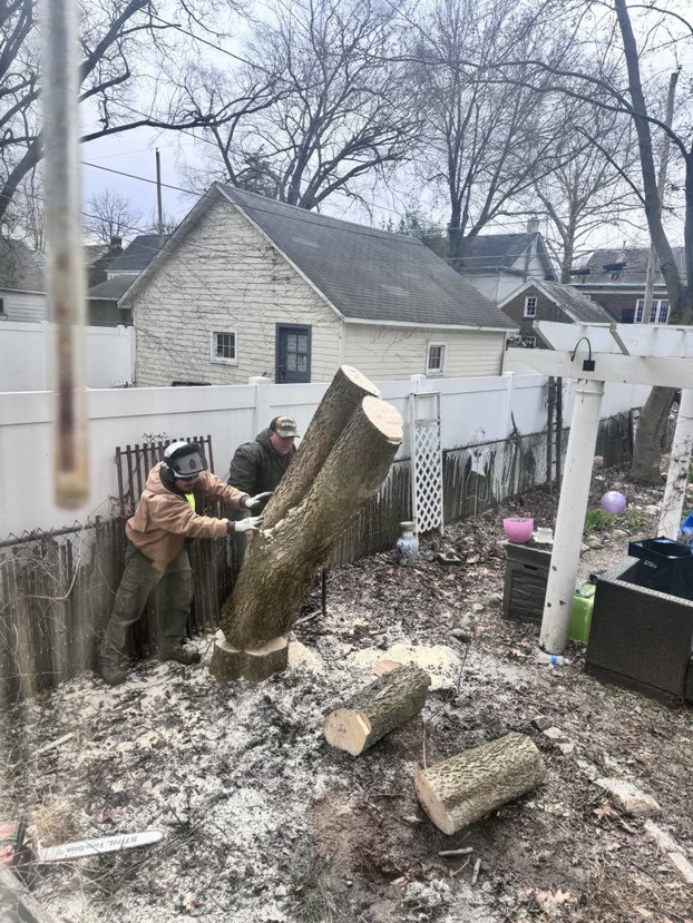 Workers handling a large tree trunk section during a tree removal job by Asg Tree Service in Kalamazoo, MI.