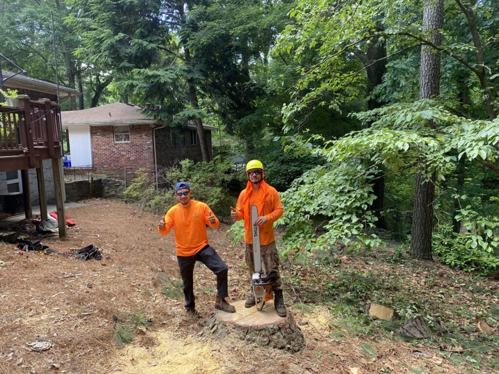 Sergeant tree service workers giving thumbs up next to a freshly cut tree stump after removal in Atlanta, GA