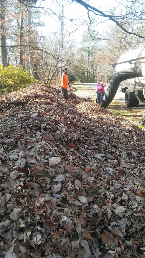 Two workers raking a large pile of autumn leaves towards a vacuum truck for Leaf It To Me Your Leaf Authority- Leaf Removal in Richmond, VA.