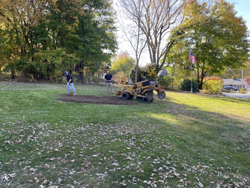 Two workers raking wood chips and debris after a stump grinding service, with the grinder in the background, by Grin & Grind Stump Removal LLC in Worcester, MA.