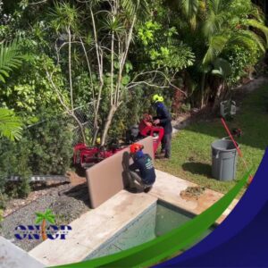 Two workers performing stump grinding near a residential pool, providing tree service for OnTop Tree Service in Miami, FL