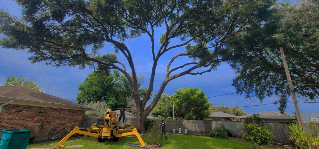 Workers using a spider lift to trim a large tree in a backyard by Quality Tree Service, L.L.C in Kenner, LA.