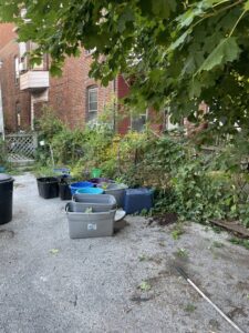 An outdoor area with several bins and overgrown vegetation, indicating a yard cleanout job by Removall Residential and Commercial Cleanout Services in York, PA.
