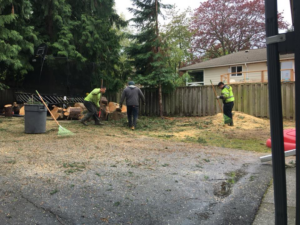 Workers from Evelio's Landscaping Services LLC performing thorough yard cleanup after tree service in Kent, WA.