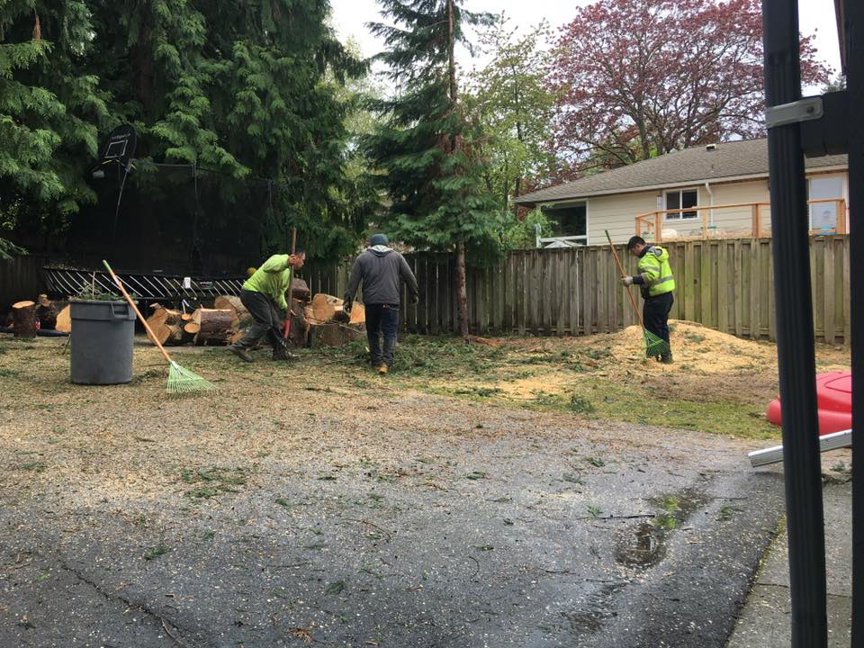 Workers from Evelio's Landscaping Services LLC performing thorough yard cleanup after tree service in Kent, WA.