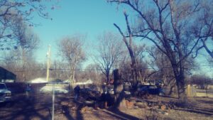A yard with multiple trees and workers performing cleanup after tree service by Humbolt Tree Service in Wichita, KS