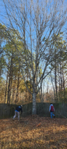 Two workers performing yard cleanup and brush clearing for Unified Services & Sales LLC in Pelham, AL