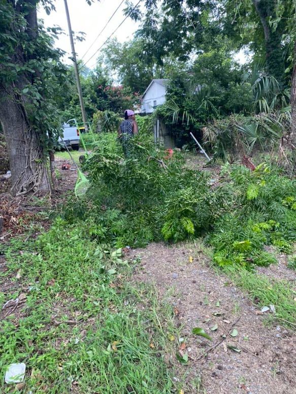 A yard filled with cut branches and foliage, showing cleanup after tree service by T-Bone Tree Service in Savannah, GA.