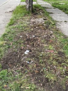 A grassy area with scattered small debris, showing the result of a yard cleanup and junk removal service by Prestige Junk Removal & Hauling in Detroit, MI.