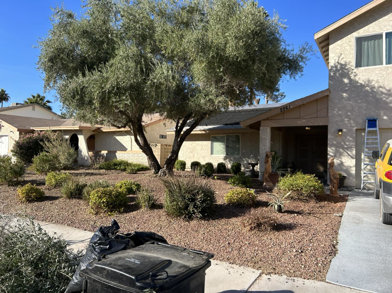 A front yard with landscaping debris and a ladder, showing yard cleanup services by Handyman Service's in North Las Vegas, NV.