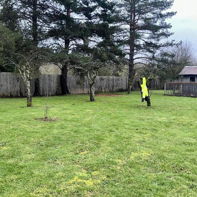 A clean yard after tree pruning and cleanup services by R&A Landscape & Tree Service, LLC in Vancouver, WA.