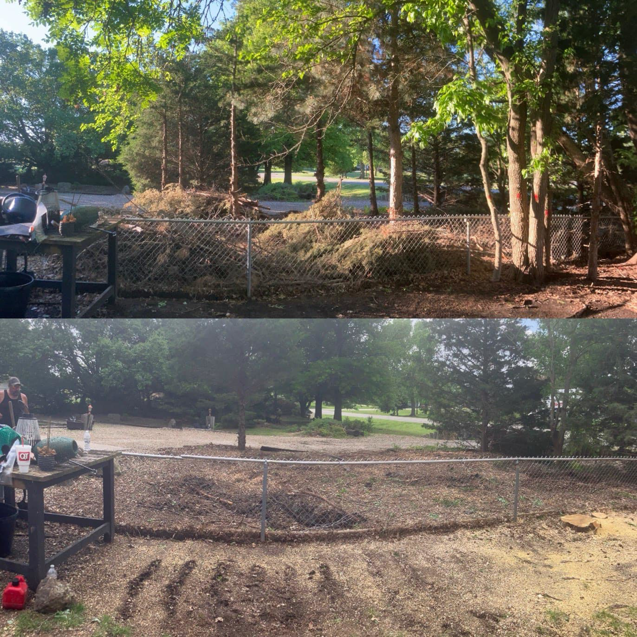 Before and after photo of a yard clearing and debris removal project by Rates Tree Service in Wichita, KS.