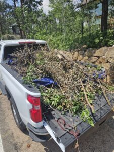 A pile of yard debris and branches on a blue tarp, ready for pickup by We R Trash Inc. in Loveland, CO