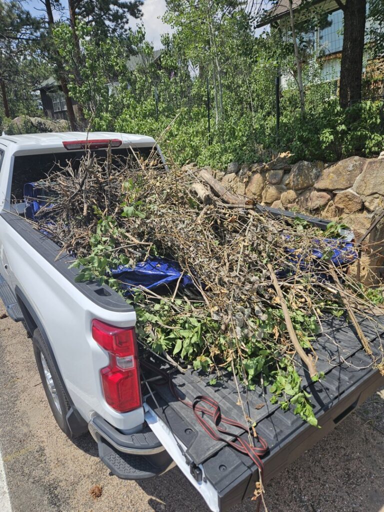 A pile of yard debris and branches on a blue tarp, ready for pickup by We R Trash Inc. in Loveland, CO