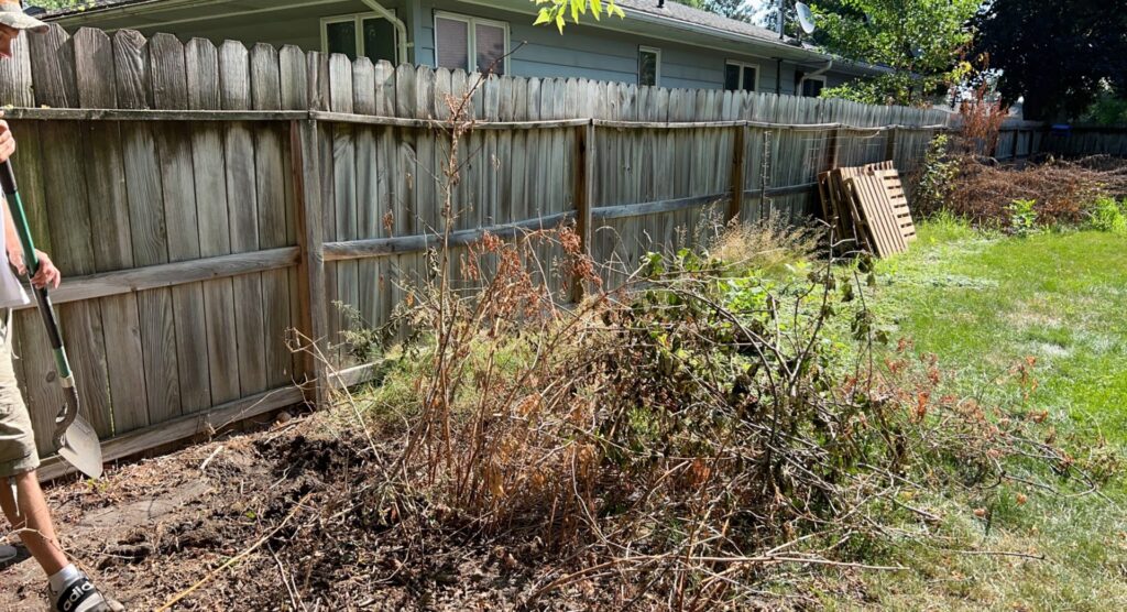 A person preparing for yard debris removal service by Cash For Scrap Vehicles / Junk Removal in Minneapolis, MN.