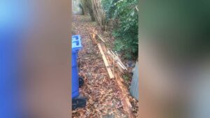 A pile of wooden debris and leaves in a yard, ready for removal by MOAT's Junk Removal LLC in Jonesboro, AR.