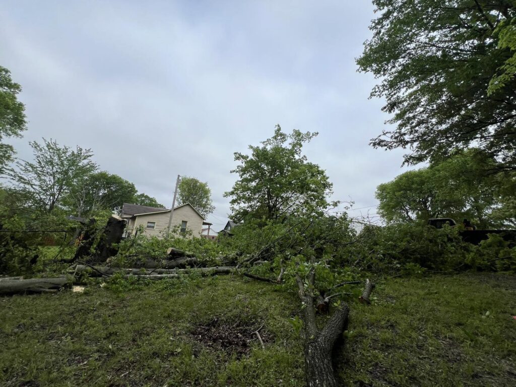 A yard covered with numerous fallen tree branches and logs after a tree removal service by Monterroso tree service in Little Rock, AR.