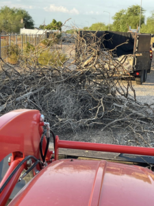 A large pile of yard waste and brush ready for removal next to a trailer by Canyon State Junk Removal in Peoria, AZ