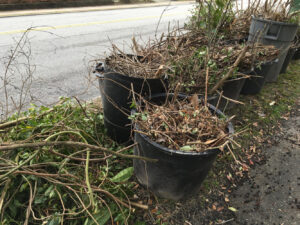 Multiple black bins filled with branches and yard waste, placed by the road for Junk Movers to collect in Salt Lake City, UT.