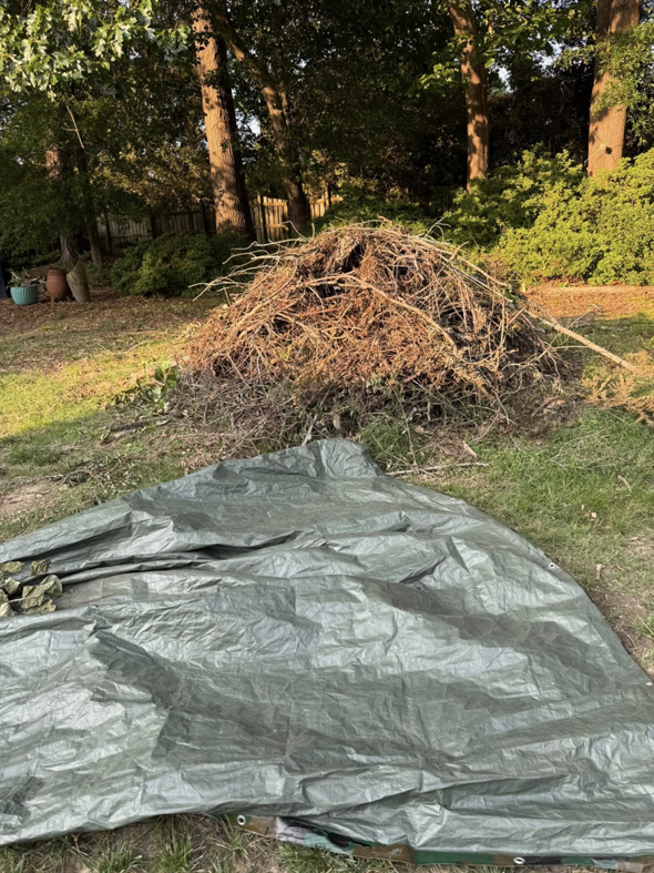 A large pile of brush and yard waste ready for removal by JR's Rapid Junk Removal in Cary, NC