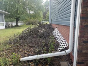 A large pile of branches and yard waste next to a house, ready for brush removal by 402 Junk Removal in Lincoln, NE.