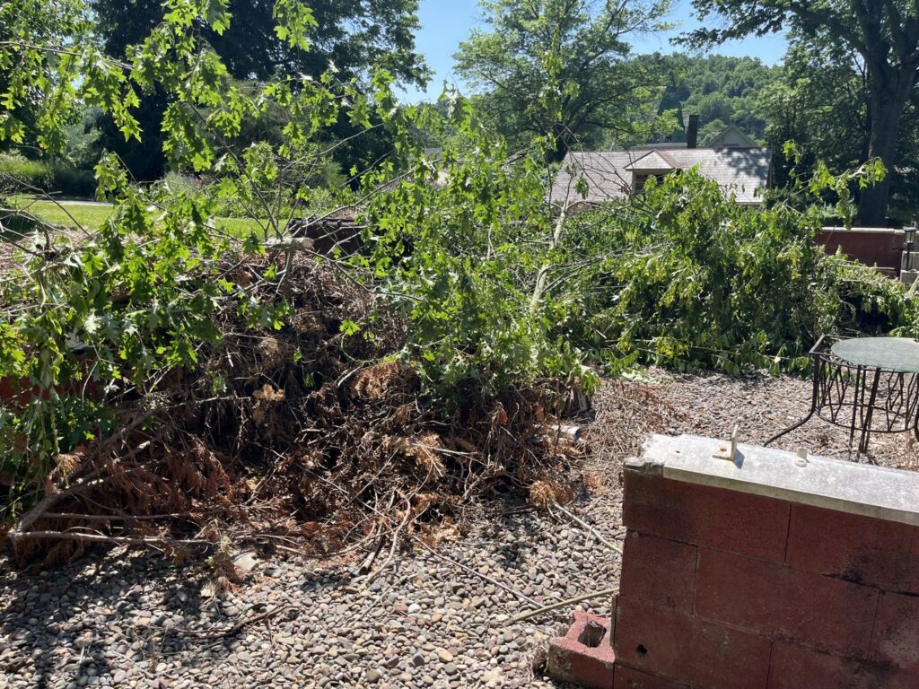 A large pile of tree branches and yard waste ready for removal by Junk Lockdown LLC in Lancaster, PA.