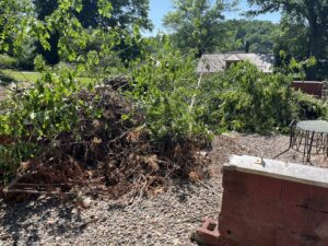 A large pile of tree branches and yard waste ready for removal by Junk Lockdown LLC in Lancaster, PA.