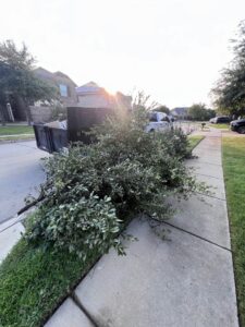 A large pile of tree branches and green foliage on the curb, ready for yard waste and brush removal by City to City Junk Removal Fort Worth, TX.