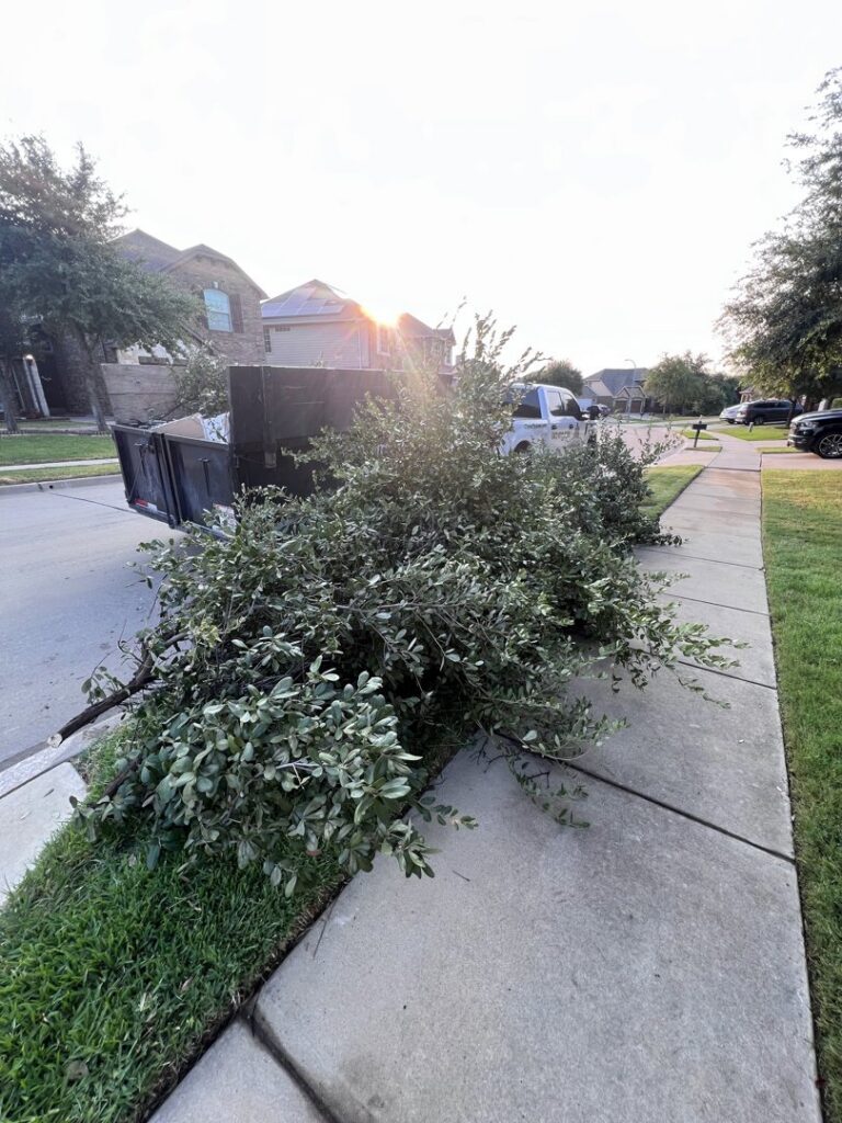A large pile of tree branches and green foliage on the curb, ready for yard waste and brush removal by City to City Junk Removal Fort Worth, TX.