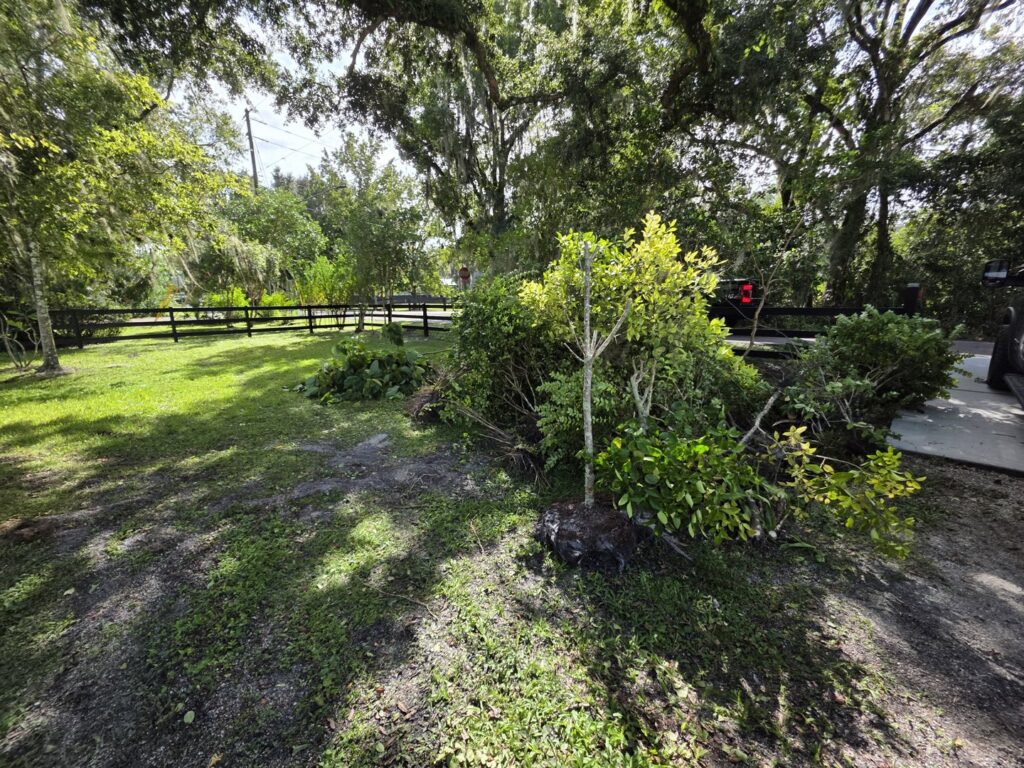 A pile of yard waste, including branches and bushes, ready for removal by Westish Junk Removal LLC in Orlando, FL.