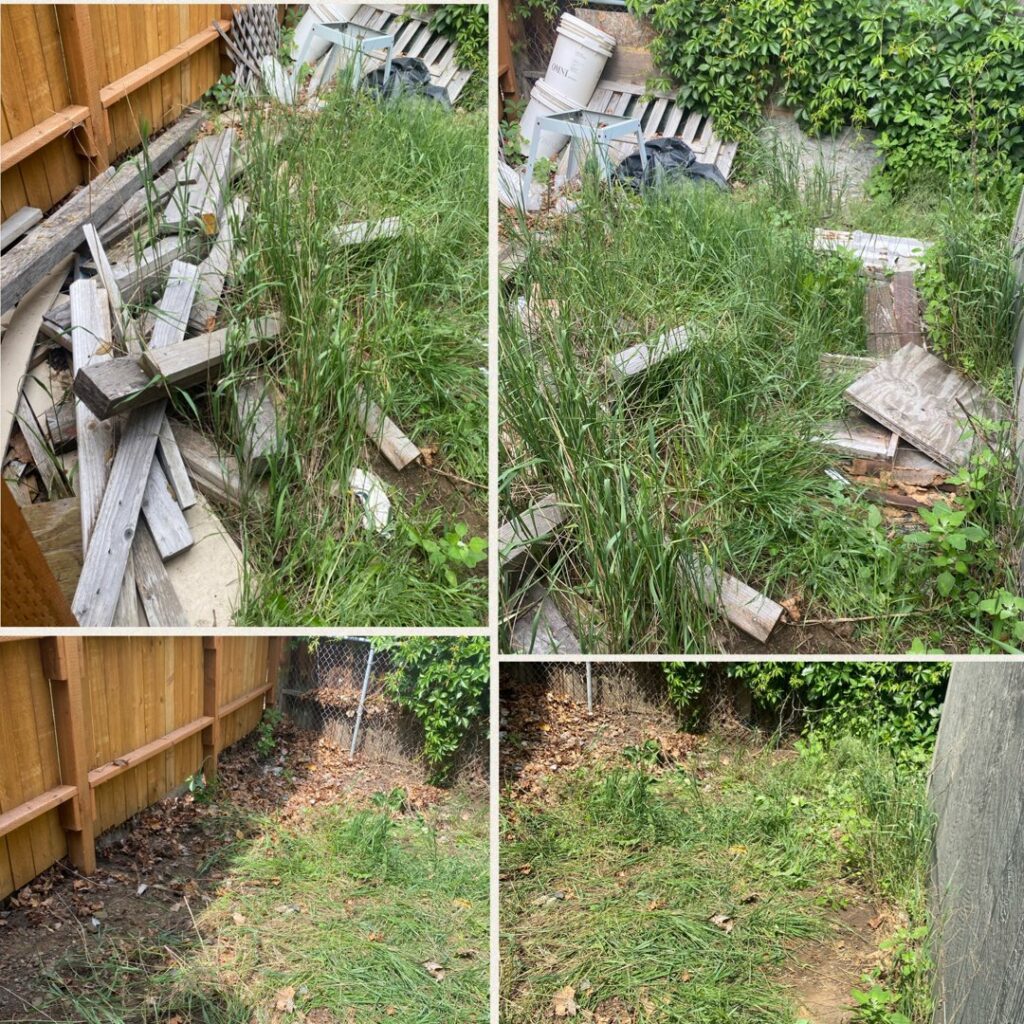 A before-and-after collage showing yard waste and debris removal, transforming an overgrown area into a clean space by Empty It Out Junk Removal, LLC in Billings, MT.