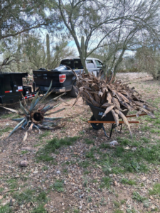 Yard waste, including a large dried agave plant and leaves, ready for removal by Arizona Best Junk Removal & Hauling in Tucson, AZ