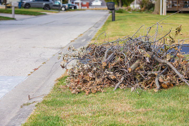A pile of branches and yard waste on the curb, ready for Junk King removal service in Greensboro, NC.