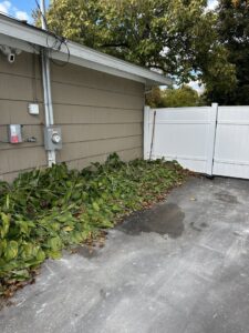 A pile of yard waste and trimmed leaves next to a house, ready for removal by Junk Beasts LLC in Marlborough, MA