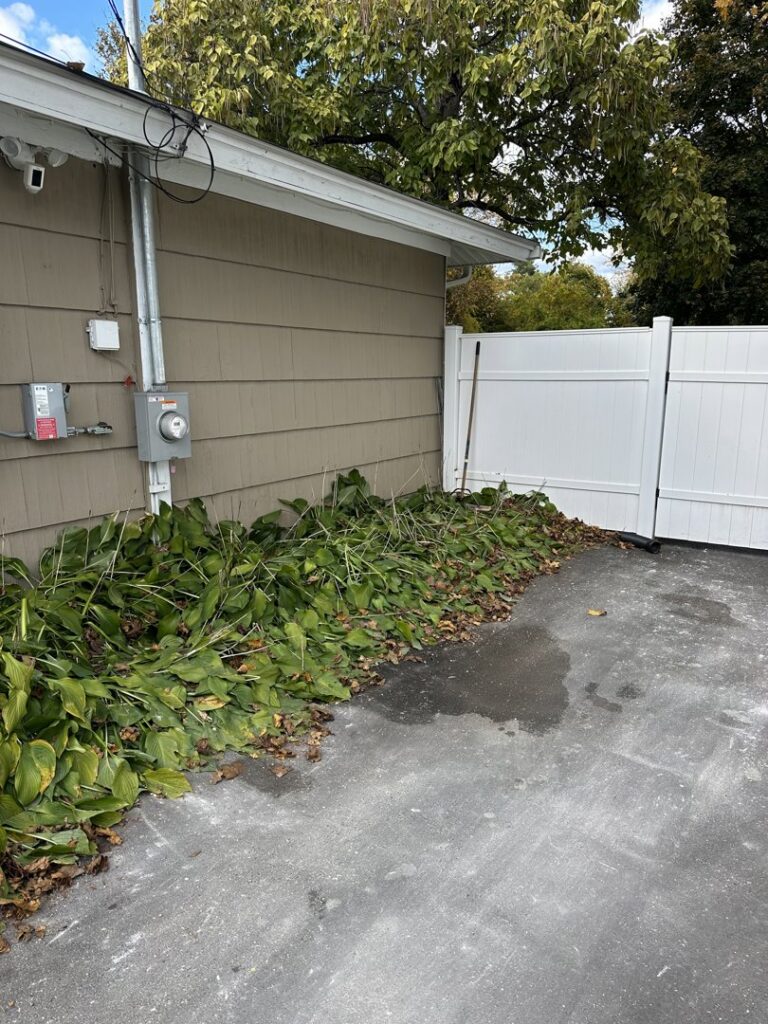 A pile of yard waste and trimmed leaves next to a house, ready for removal by Junk Beasts LLC in Marlborough, MA