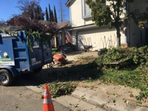 A blue Junk Away & Cleaning trailer next to a large pile of green yard waste, ready for removal in Sacramento, CA.