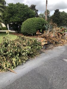 A large pile of tree branches and yard waste on the roadside, ready for removal by Junk Removal JAX in Jacksonville, FL.
