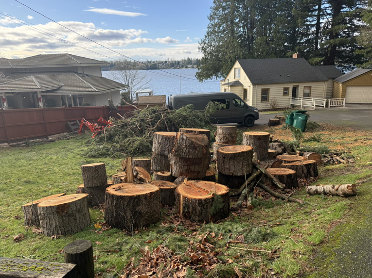 A residential yard filled with cut tree stumps, logs, and branches after a tree service job by Snohomish Tree Company LLC in Everett, WA.