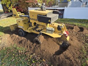 A yellow stump grinder actively removing a tree stump, with wood chips visible, by Grin & Grind Stump Removal LLC in Worcester, MA.