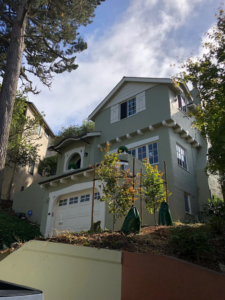 Young trees recently planted and supported by stakes and watering bags in front of a residential home by The Urban Arborist in Lincoln, CA.