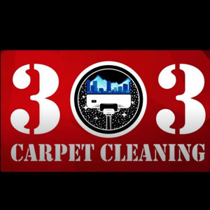 303 Carpet Cleaning