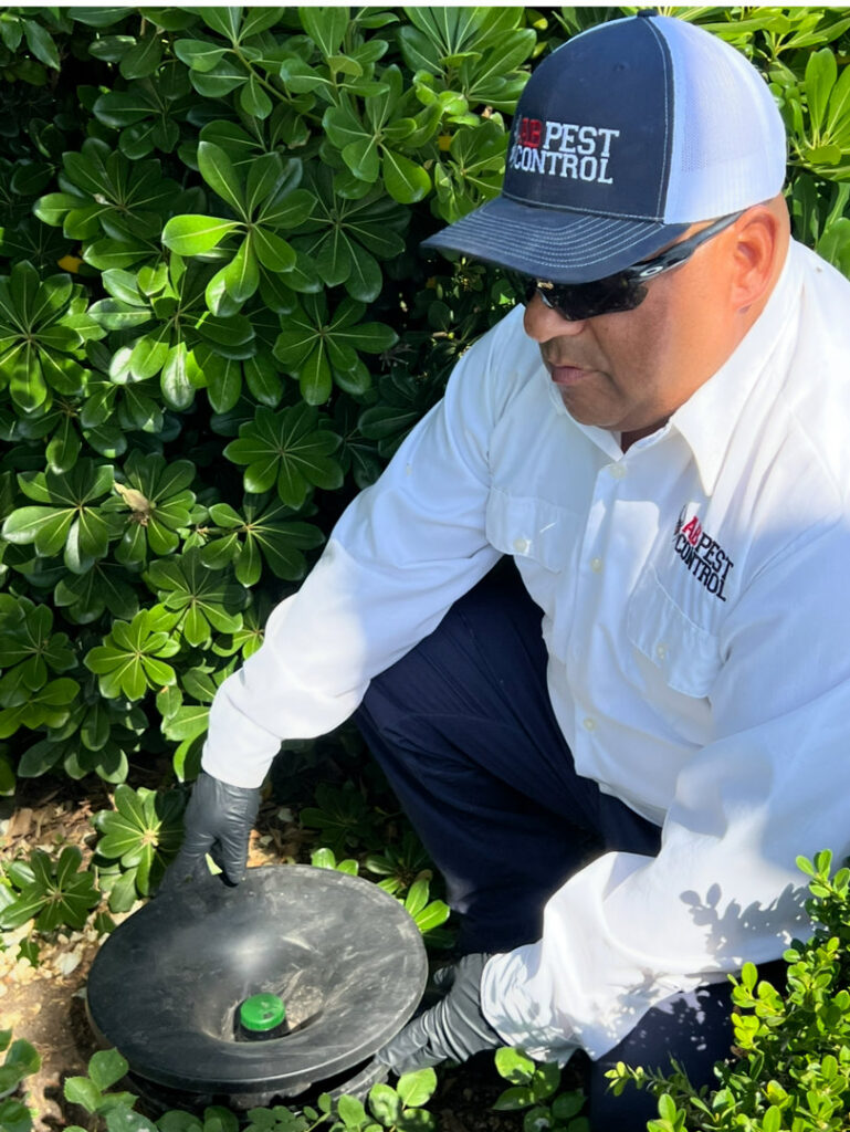 An AB Pest Control technician inspecting or placing a pest bait station in a bush in Bakersfield, CA.